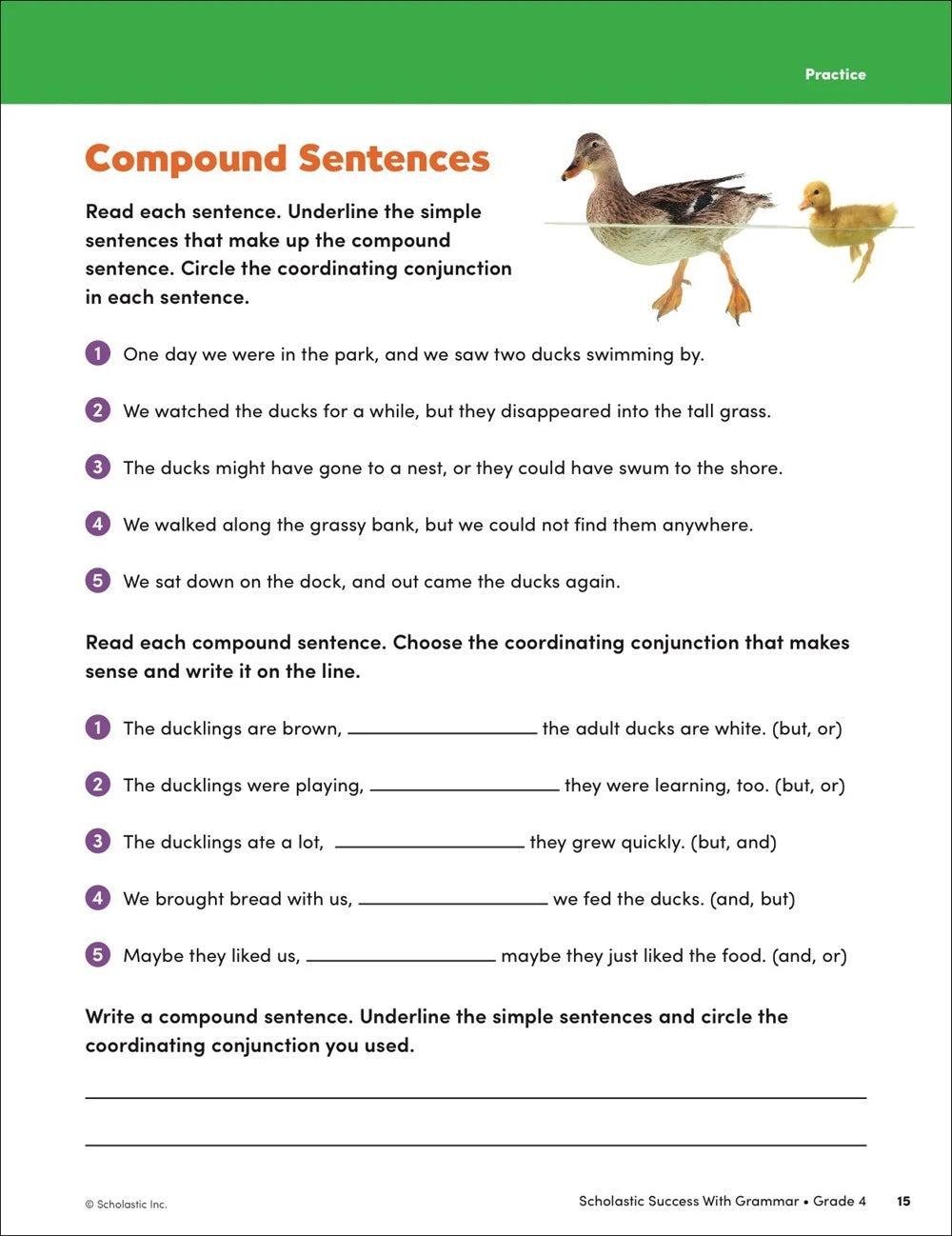 Scholastic Success with Grammar Grade 4 Workbook - MakoStars Online Store