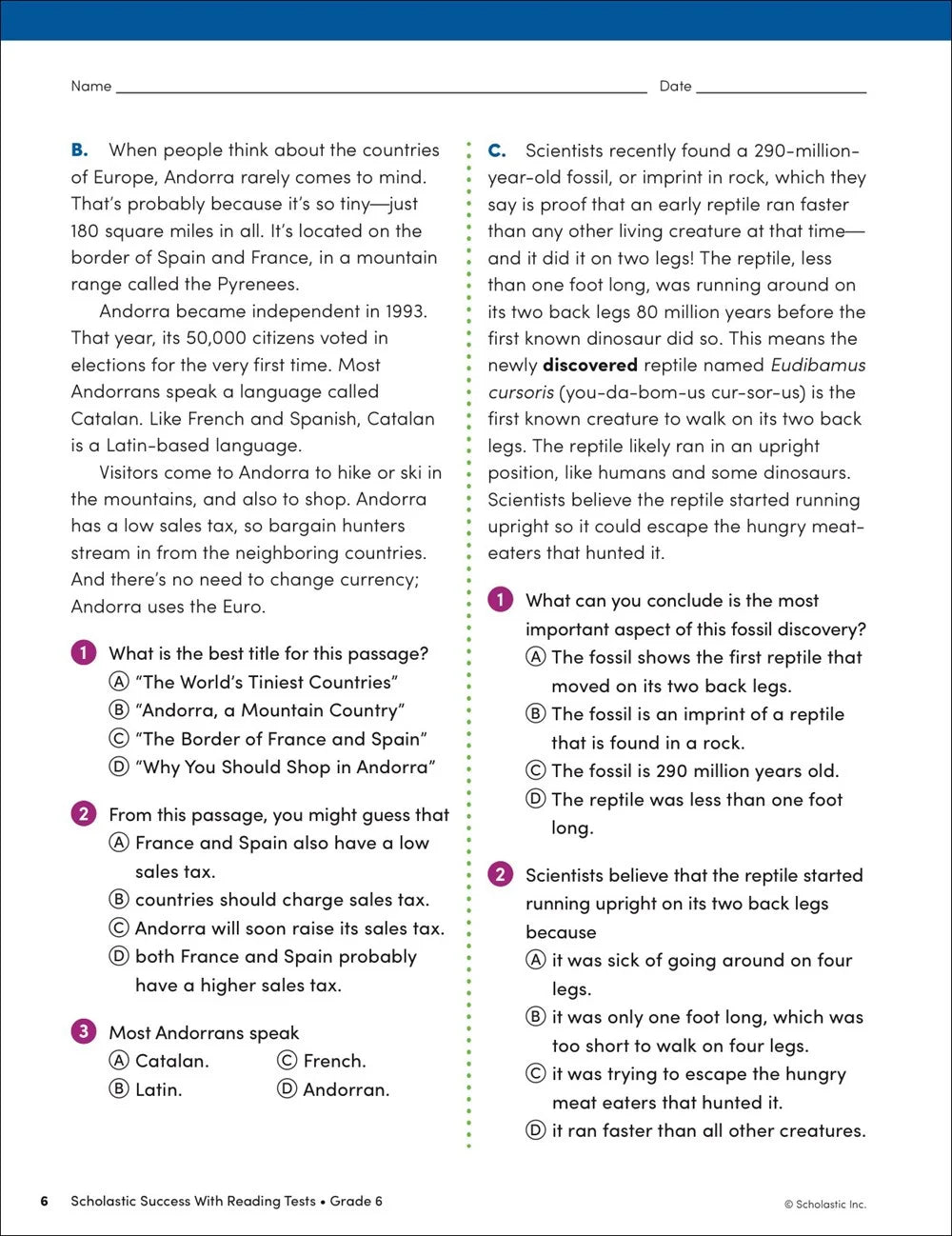 Scholastic Success with Reading Tests Grade 6 Workbook - MakoStars Store | English Books and Study Materials