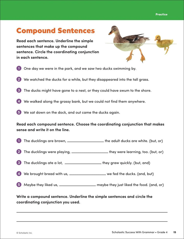 Scholastic Success with Grammar Grade 4 Workbook - MakoStars Online Store