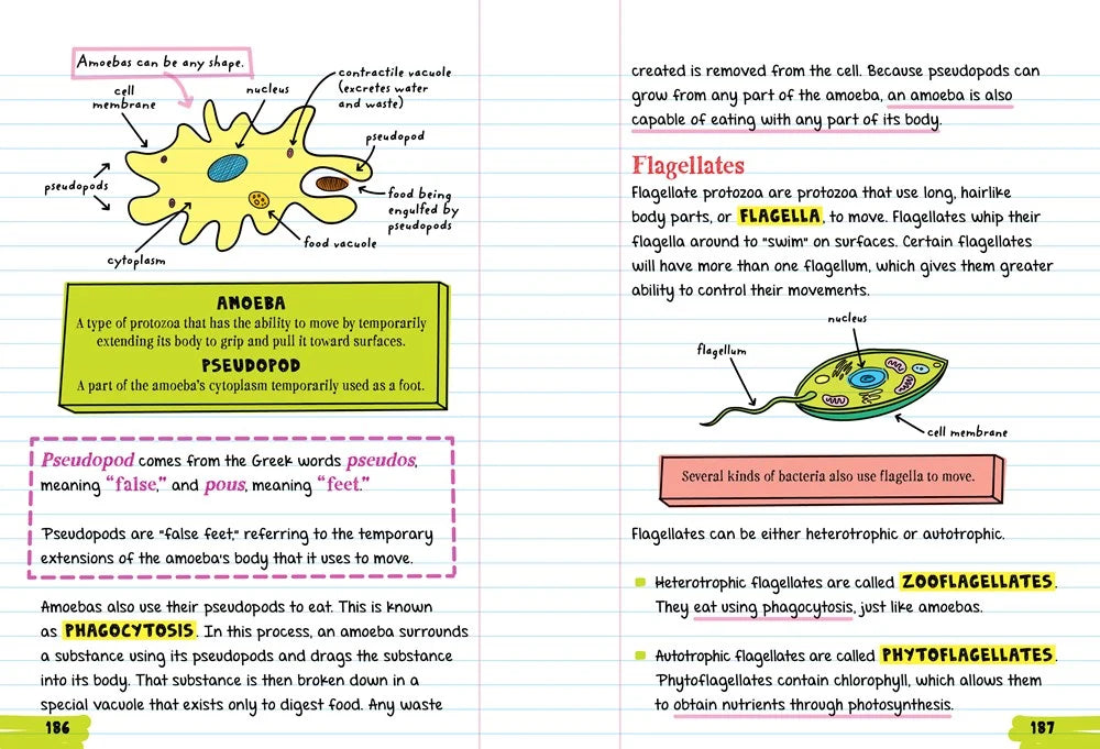 Everything You Need to Ace Biology in One Big Fat Notebook - MakoStars Online Store
