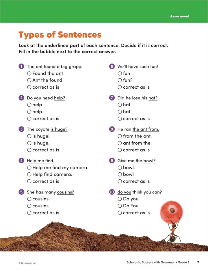 Scholastic Success with Grammar Grade 3 Workbook - MakoStars Store | English Books and Study Materials