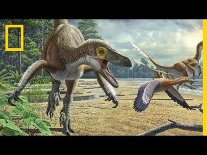 ナショナル ジオグラフィック リトルキッズ はじめての恐竜図鑑