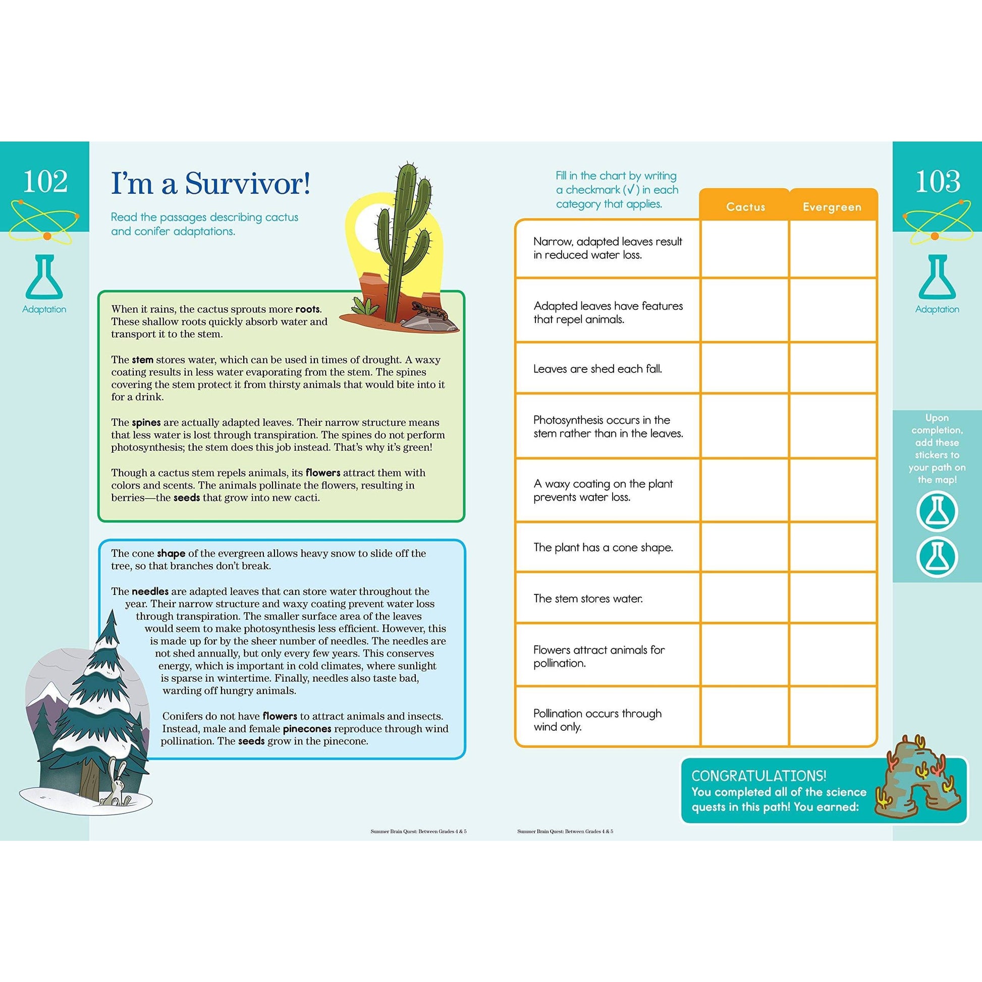 Summer Brain Quest: Between Grades 4 & 5 - MakoStars Online Store