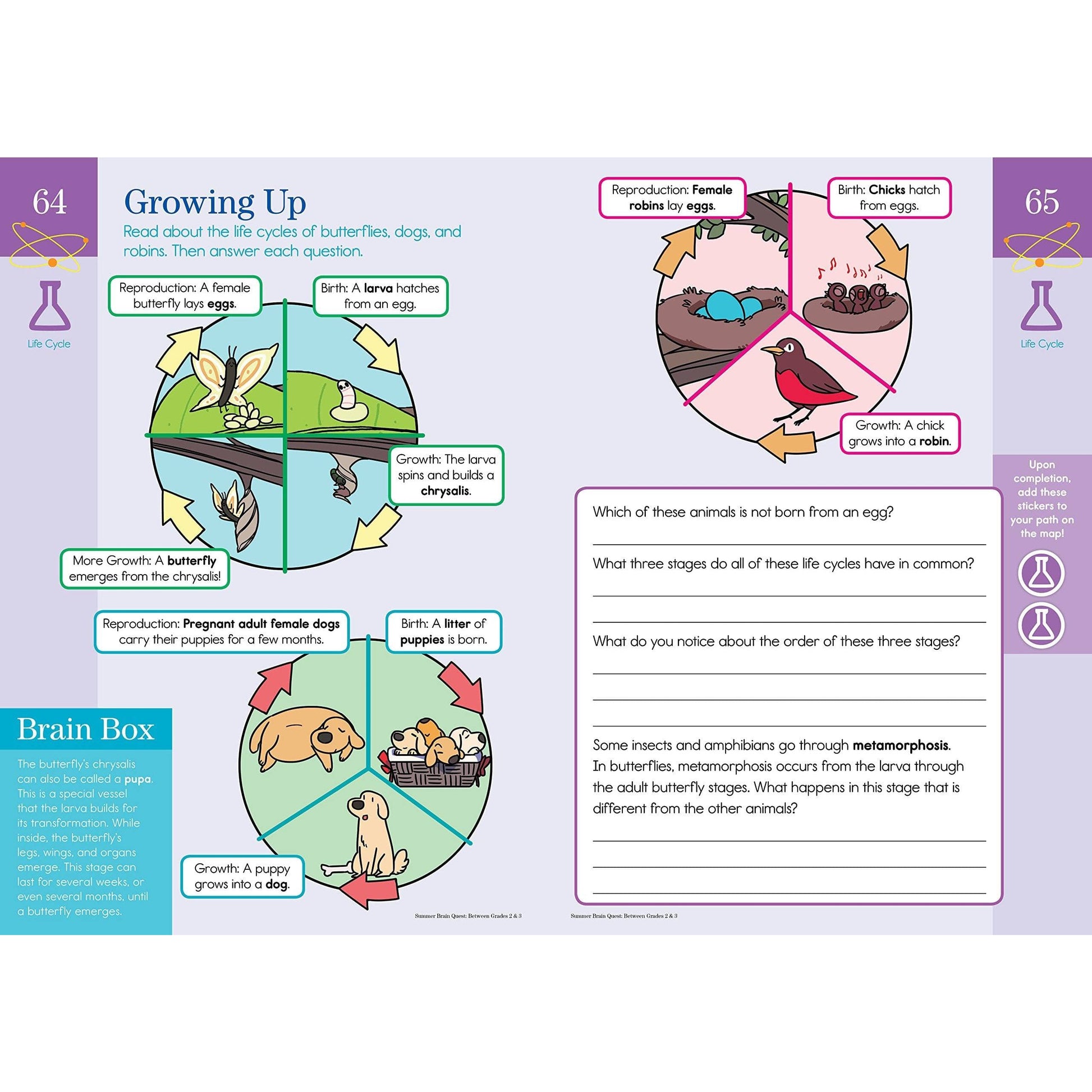 Summer Brain Quest: Between Grades 2 & 3 - MakoStars Online Store