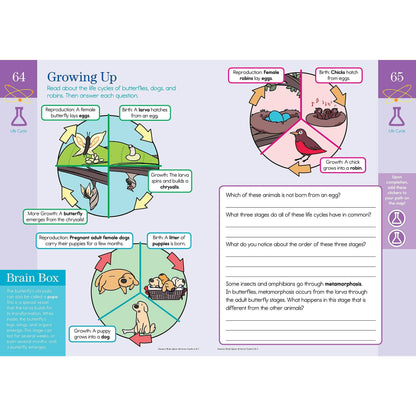 Summer Brain Quest: Between Grades 2 & 3 - MakoStars Online Store