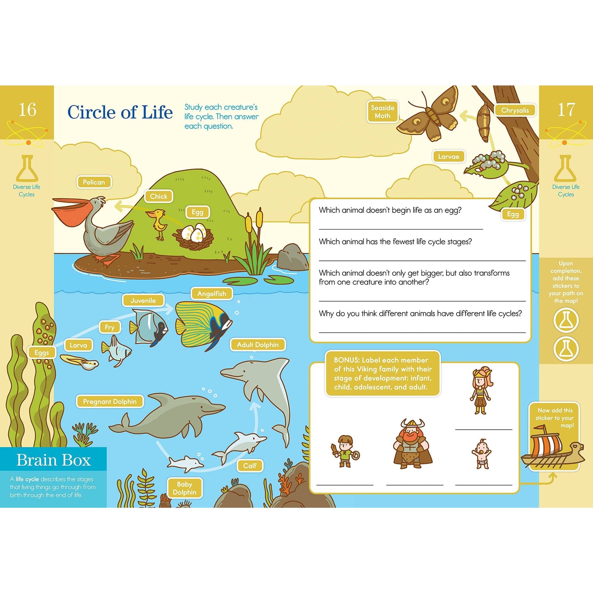 Summer Brain Quest: Between Grades 3 & 4 - MakoStars Online Store