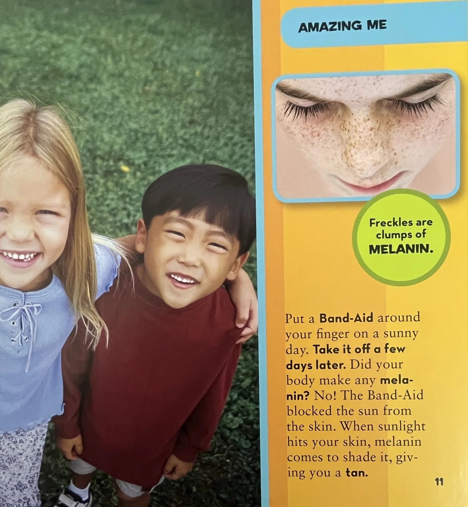 National Geographic Little Kids First Big Book of Why - MakoStars Online Store